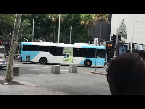 Sydney bus at. Circular Quay zetland 304
