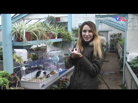 Выпуск программы "День" от 27 ноября 2020г.