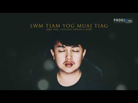 Neng Yang - Lwm Tiam Yog Muaj Tiag | หากชาติหน้ามีจริง (Cover)