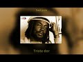 Peter Tosh - Why Must I Cry - Legendado