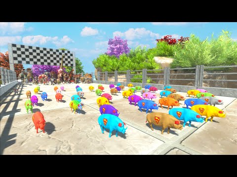 CHASE SPEED RACE TO EAT AN COLOR SUPERMAN PIG - Animal Revolt Battle Simulator