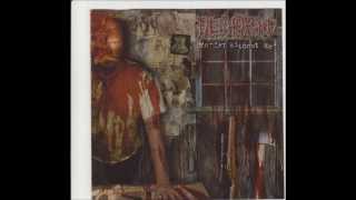 Fleshgrind - In Sickness Intertwined