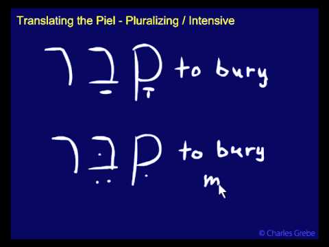 27.05   Translating the Piel – Pluralizing, Intensive