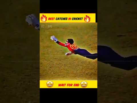 5 Best Catches in Cricket 🔥
