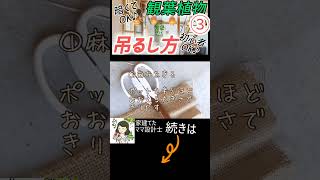 観葉植物の吊るし方｜ハンギングプランツのやり方と金具の選び方（フェイクOK）③