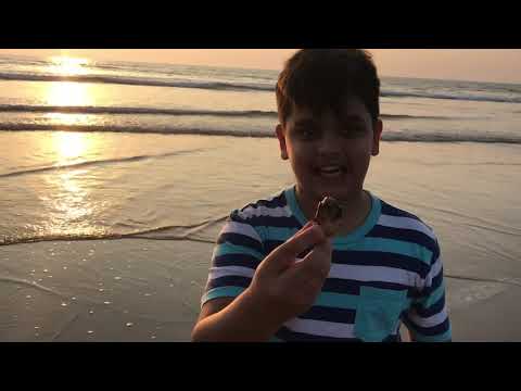 Sunny Bites- Guhagar