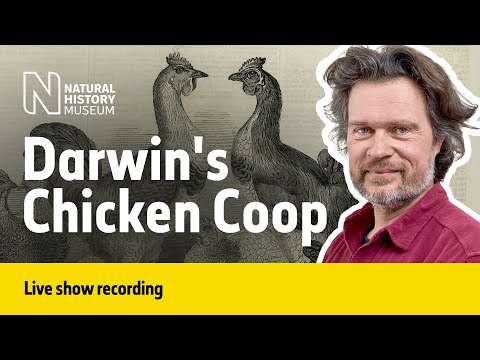 The Origin of Chickens, Darwin's Giant Chicken Problem | Live Talk with NHM Scientist