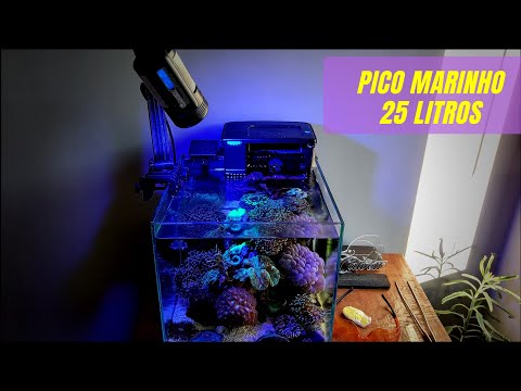 25-liter marine aquarium answering your questions!