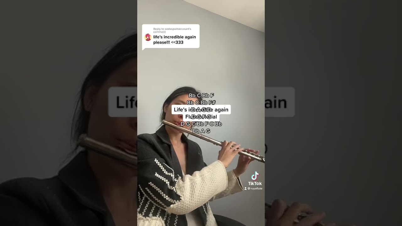 The incredibles-Life’s incredible again (Flute tutorial + notes)