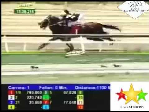 LA RINCONADA 1 CARRERA, DOMINGO 18 DE SEPTIEMBRE DEL 2016