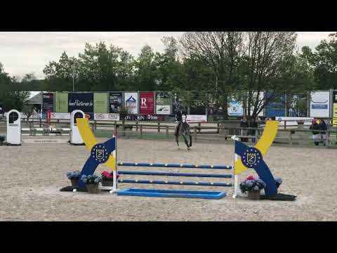 Cuba Libre de Muze Z