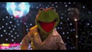 I&#39;ll get you what you want (cockatoo in Malibu) - the muppets most wanted - Constatine