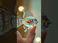 Fish Video Fishvideo