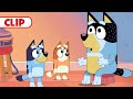 Bluey Season 1 Episode 5 Daddy Robot Episode Clip Disneyjr Bluey