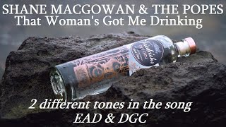 Shane MacGowan &amp; The Popes - That Woman&#39;s Got Me Drinking - 2 tones (EAD &amp; DGC)