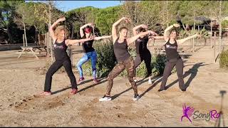 DAR UM JEITO (We Will Find a Way),  Santana (Wyclef feat Avicii &amp; Alexandre Pires)