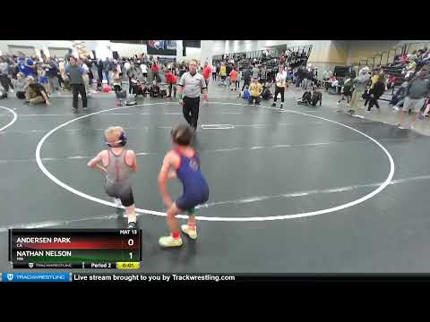 63 Lbs Cons. Round 4 - Nathan Nelson, MN Vs Andersen Park, CA 553e