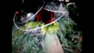 Frank Iero and the Patience 9-6-15 (fan music video)