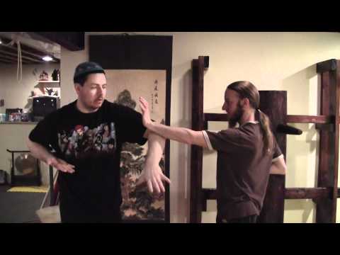LI FAMILY STYLE (LI GAR CHUAN) Trapping Hands Gate Swing to Crane Block
