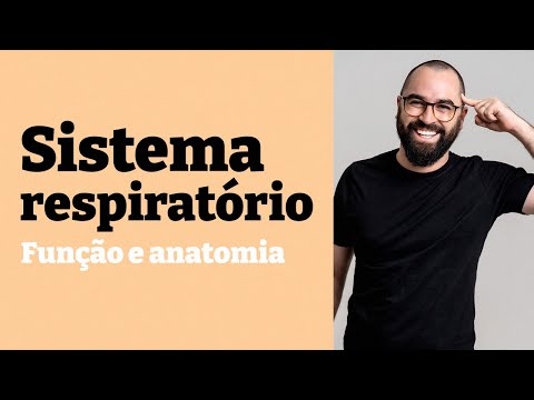 Respiratory System: Function and Anatomy - Class 21 - Module 7 - Human Physiology - Prof. Guilherme
