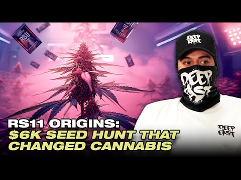 How RS11 Was Really Created and the Story Behind the Legendary Strain