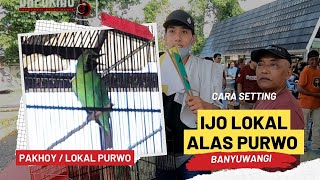 Download lagu TERNYATA BEGINI RAWATAN CUCAK IJO LOKAL PURWO BANYUWANGI mp3