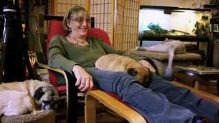 Trailer   Kate Bornstein is a Queer & Pleasant Danger HD copy