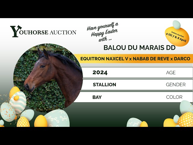 Balou du Marais DD