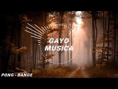 Lagu Gayo Pong - Bange