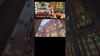 #sagradafamilia #barcelona #spain #architecture #nationalheritage #バルセロナ #サグラダファミリア