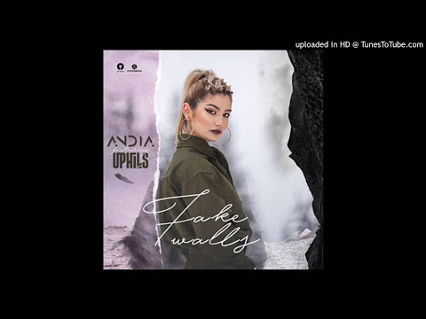 Andia feat. UPHILLS - Fake walls