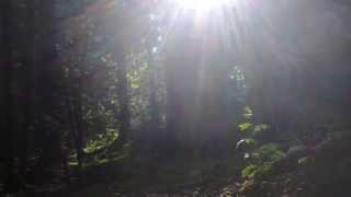 Omnia - Bran Omnia - Bran