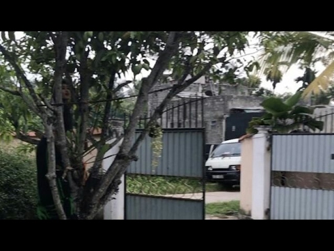 Piumi Hansamali  Climb a Tree