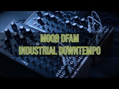 Moog DFAM  industrial downtempo