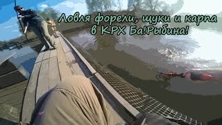 Отчет о рыбалке в тишково барыбино