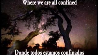 Cry Freedom - Dave Matthews Band (sub eng/spa)
