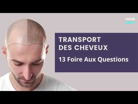 TRANSPORT DES CHEVEUX