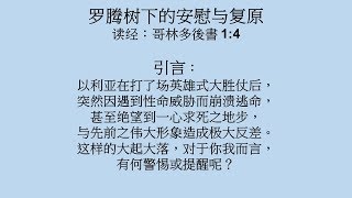 20180820: 罗藤树下的安慰与复原 -万海生牧师