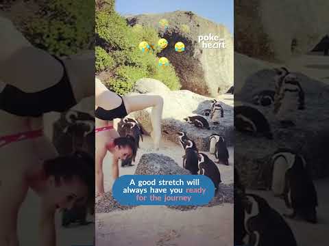 Woman Does Yoga Handstand in Front of Penguins