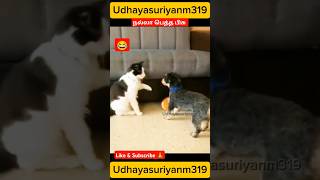 Download lagu dog mindvoice 🤣 #funny #cat #dog #trending #shortsfeed #comedy mp3