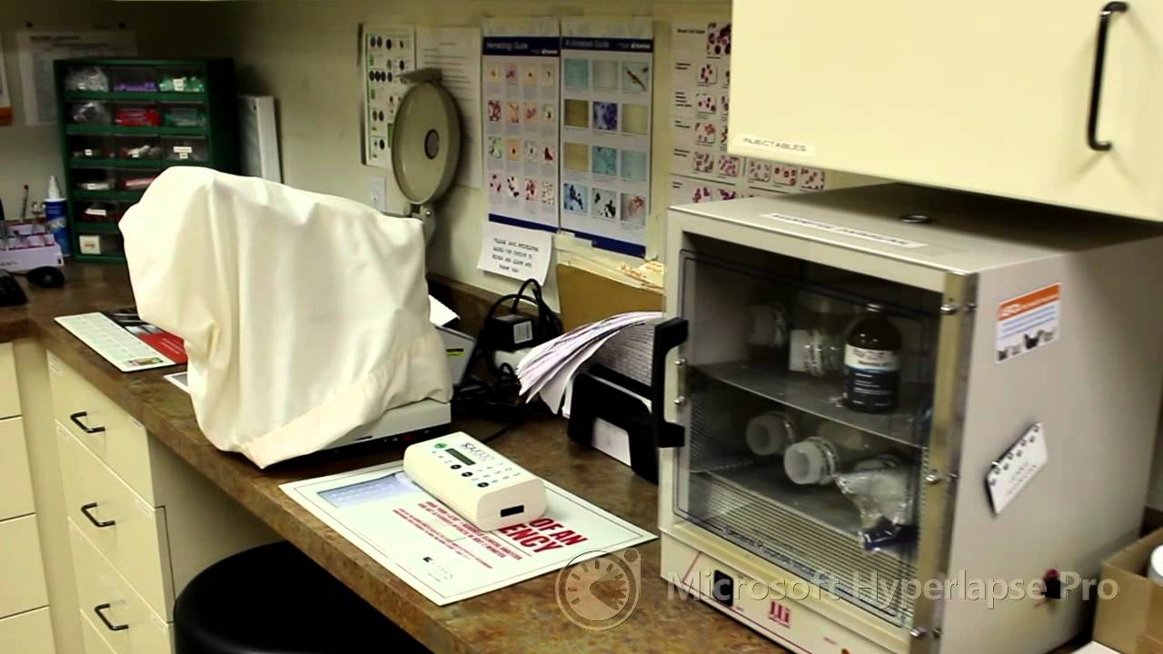 Video: Grand Valley Veterinary Emergency Center - Grand Junction, Colorado hyperlapse 4x std