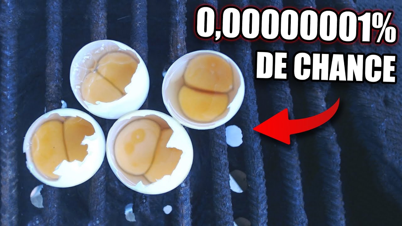 Você já viu um OVO DUPLO?