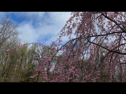 CONTINUE TO WAIT UPON ME...- prophetic word Jeff Byerly of HolySpiritWind.net 3/6/2021