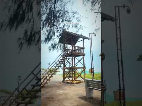 Best 5 beaches in Kozhikode 🏖️                         #kozhikode #kozhikodebeach #keralatourism