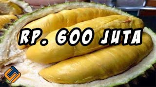 Download lagu 10 Buah Termahal Yang Harganya Nggak Masuk Akal mp3