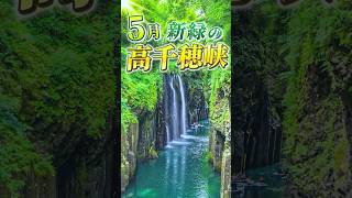 5月　新緑の高千穂峡　#高千穂峡 #takachiho  #旅行