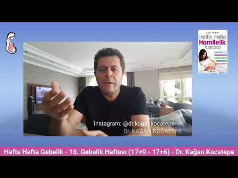 Gebelikte 18. hafta (17+0-17+6) belirtileri. Anne adayı ve bebekte değişiklikler, tansiyon düşmesi