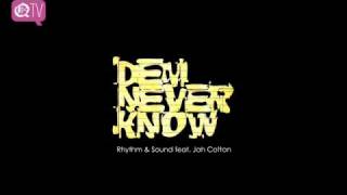 Rhythm & Sound feat. Jah Cotton - Dem Never Know