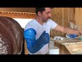 Artificially Inseminating A Horse