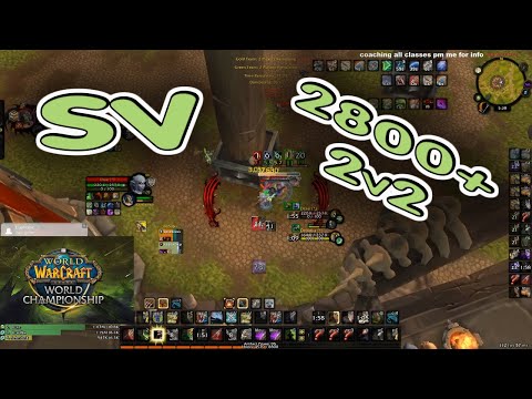 SURVIVAL Hunter ARENA 2800+ /  BfA Season 2